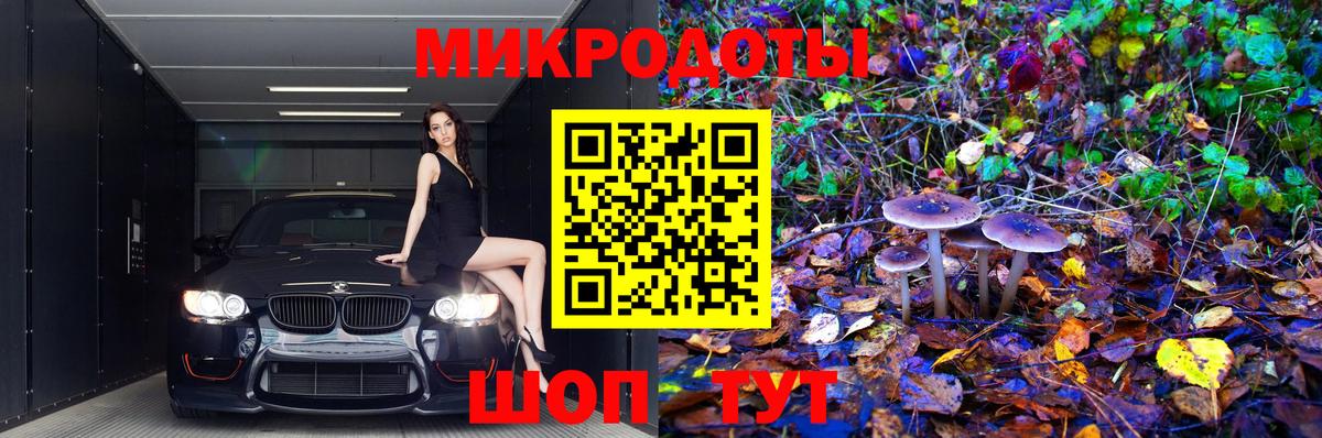 Галлюциногенные грибы мухоморы Салехард